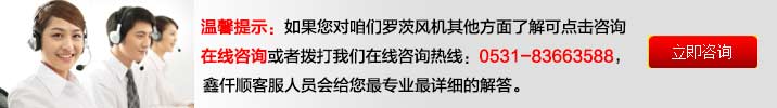 羅茨風(fēng)機(jī)廠家溝通客服 氣力輸送羅茨鼓風(fēng)機(jī)(圖11)