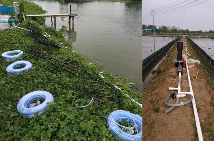 水產養(yǎng)殖羅茨風機 水產養(yǎng)殖羅茨風機